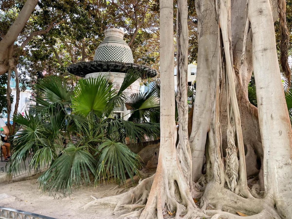 Apartamento Con Mucho Encanto En Pleno Centro アリカンテ エクステリア 写真